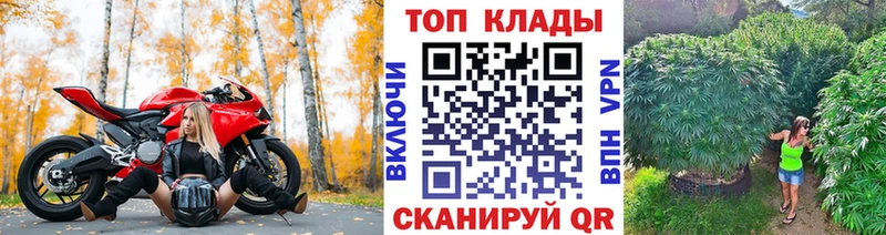 Виды наркоты Чапаевск СК  ГАШ  Конопля 