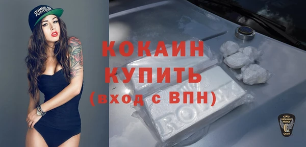 индика Навашино