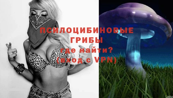 индика Навашино