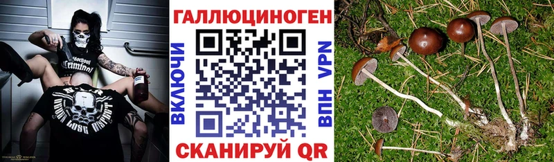 Псилоцибиновые грибы мухоморы  Чапаевск 