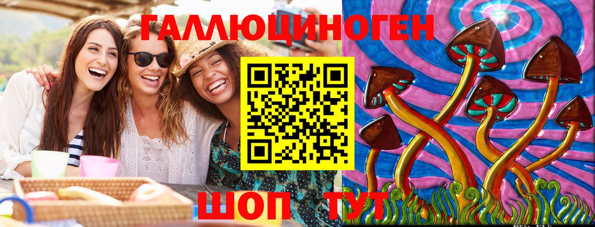 Псилоцибиновые грибы GOLDEN TEACHER Чапаевск
