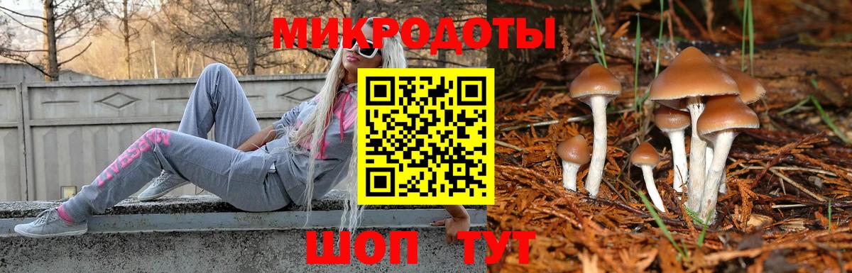 Псилоцибиновые грибы MAGIC MUSHROOMS  Чапаевск  купить закладку  Галлюциногенные грибы GOLDEN TEACHER 