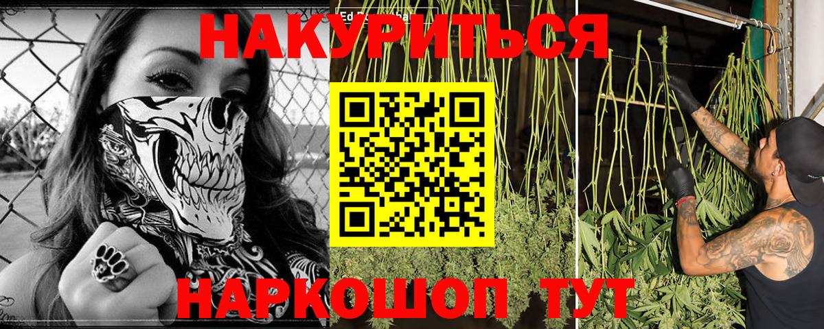 Канабис конопля Чапаевск